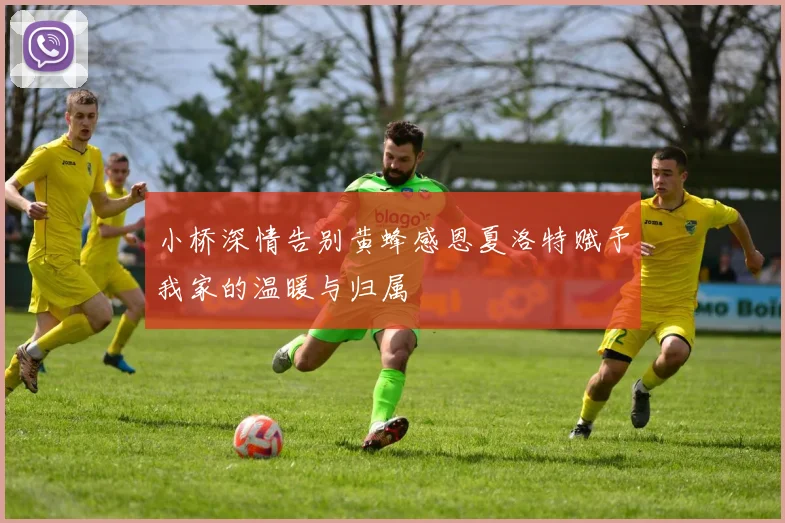 小桥深情告别黄蜂感恩夏洛特赋予我家的温暖与归属