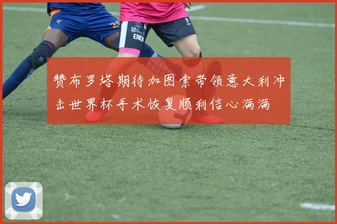 赞布罗塔期待加图索带领意大利冲击世界杯手术恢复顺利信心满满